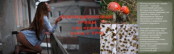 гидропоника Вяземский
